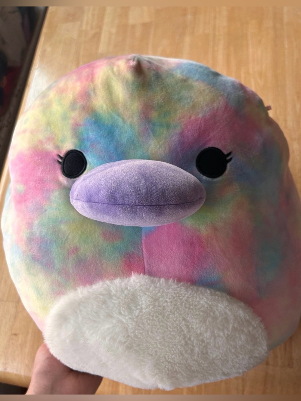 Squishmallow rainbow platypus